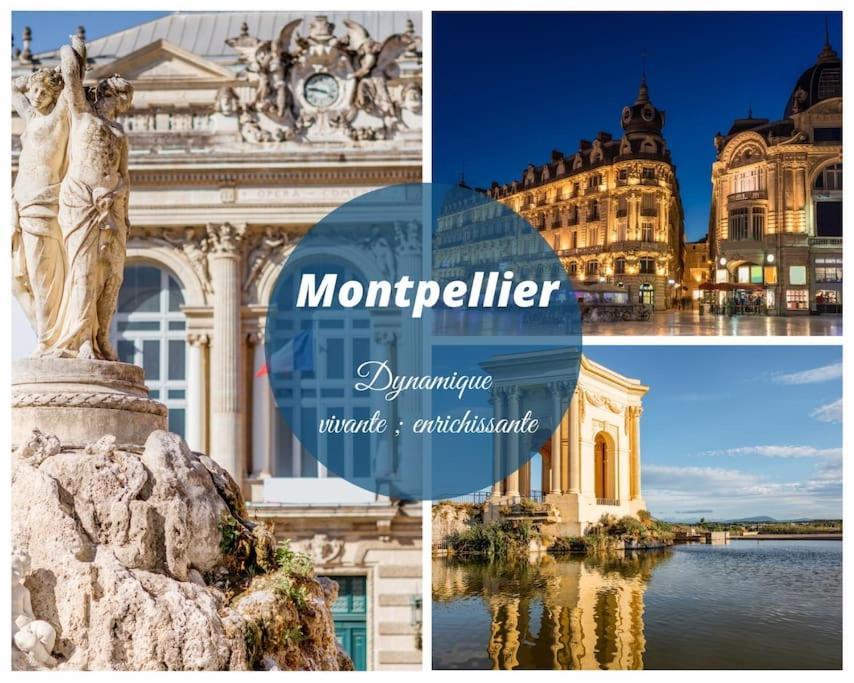 Le Murmure Du Palmier * Mer A 2 Min * Parking Prive * Terrasse Ла-Гранд-Мот Экстерьер фото